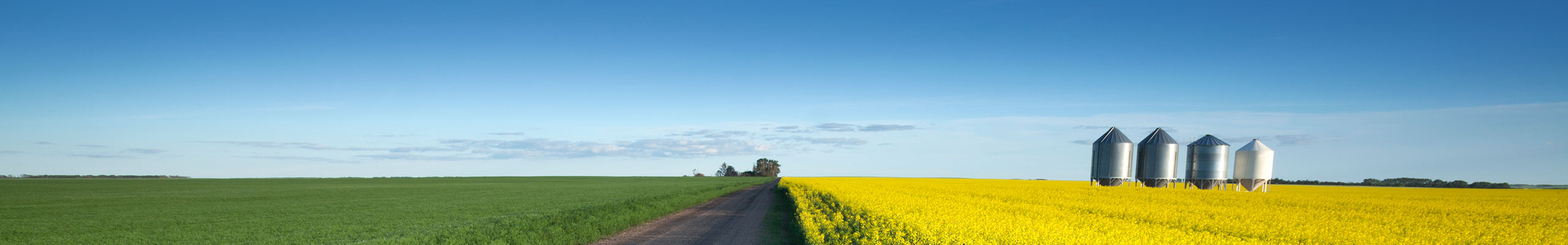 Prairie Energy Resources